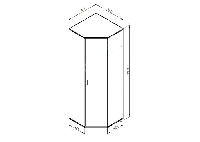 Дельта 1 Шкаф угловой