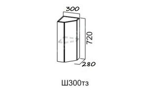 Модус, Ш300тз/720 Шкаф навесной 300/720 (торцевой закрытый)